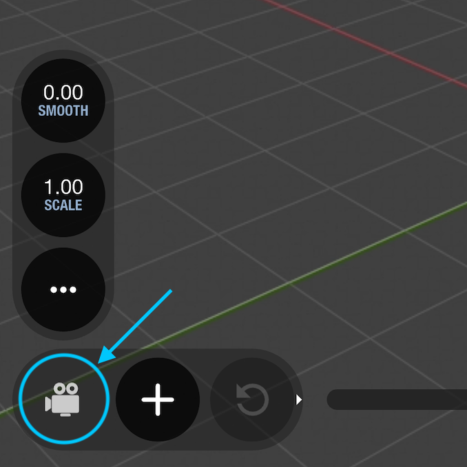 Camera Button